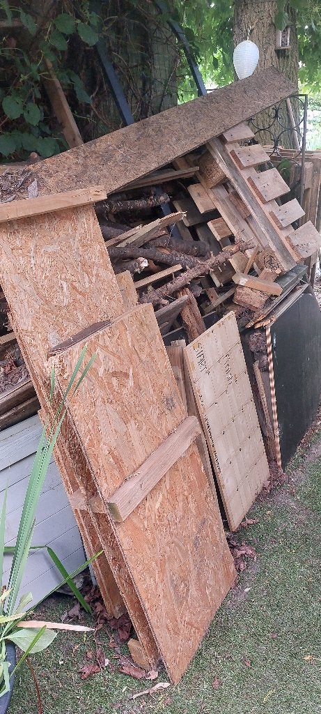 Brandhout, Minder dan 3 m³, Ophalen, Overige houtsoorten, Takken