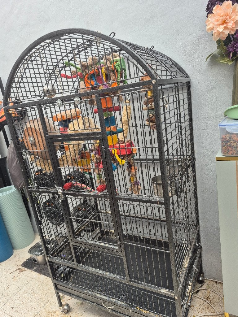 Vogelkooi papegaai, Ophalen, Zo goed als nieuw, Metaal, Vogelkooi