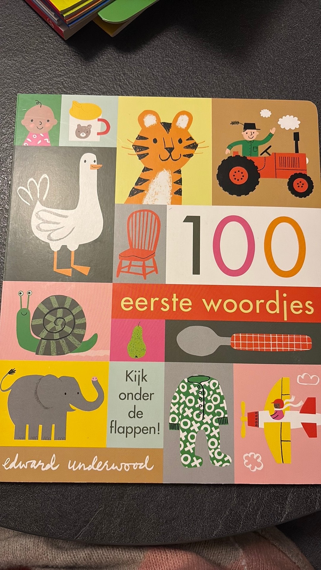 Boekje 100 eerste woordjes, Ophalen
