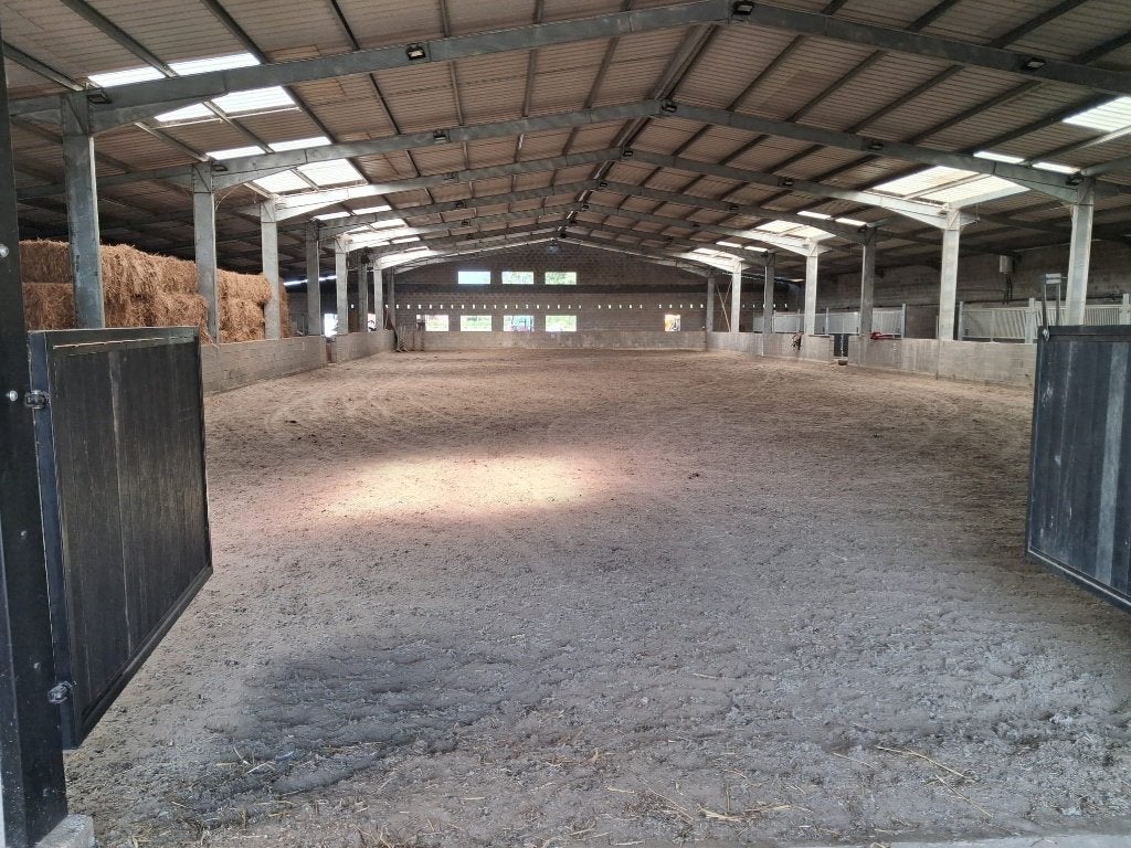 Pensionstal met binnenpiste, Animaux & Accessoires, Mise à l'étable