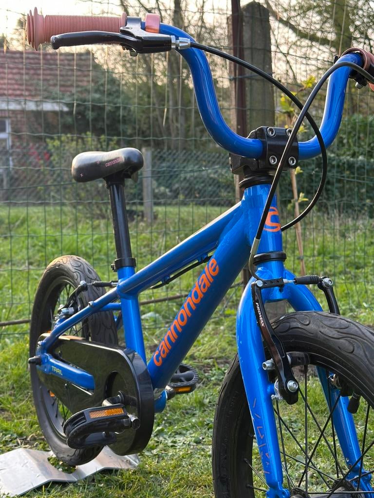 Cannondale kids Trail 16” bmx 2023 kinderfiets (4-6 jaar), Fietsen en Brommers, Ophalen, Zijwieltjes, 16 tot 20 inch, Velgrem