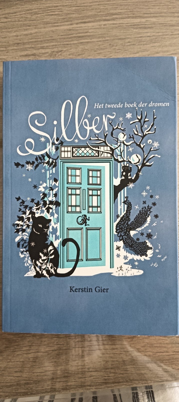 Kerstin Gier - Silber, Boeken, Ophalen, Kerstin Gier