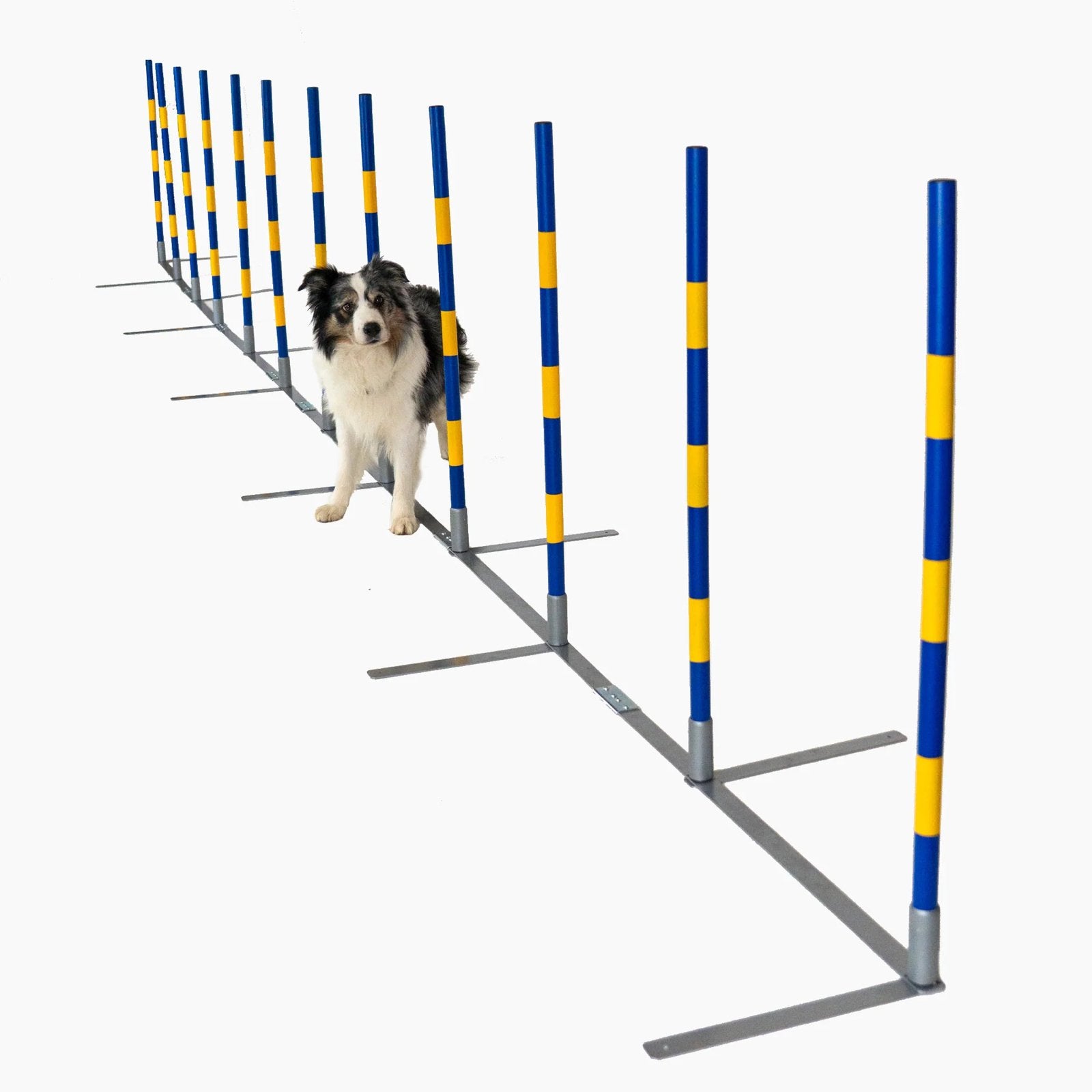 Slalomset agility hond, Dieren en Toebehoren, Ophalen, Zo goed als nieuw
