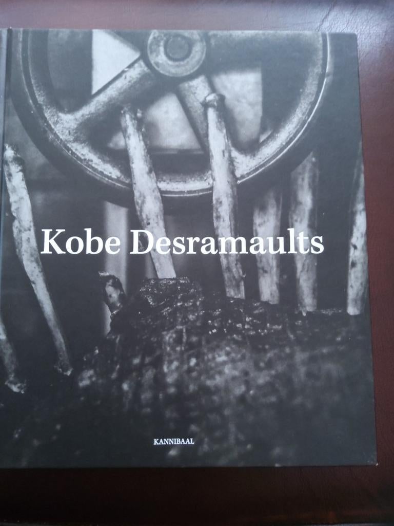 Kobe Desramaults, Boeken, Kunst en Cultuur | Fotografie en Design, Ophalen of Verzenden, Zo goed als nieuw, Overige onderwerpen