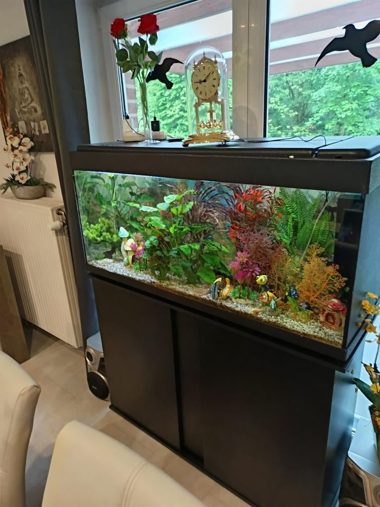 Aquarium complet
