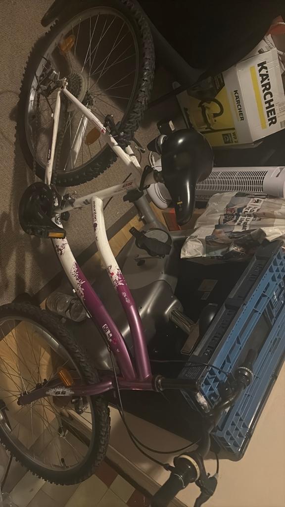 Vélo pour les filles décathlon, Enlèvement, Utilisé, Frein à main, 56 cm ou plus