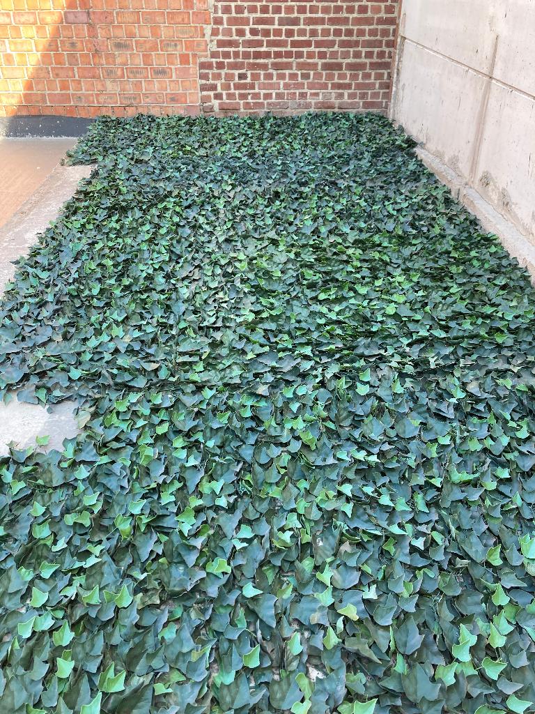 Balkonscherm groene bladeren, Enlèvement, Utilisé
