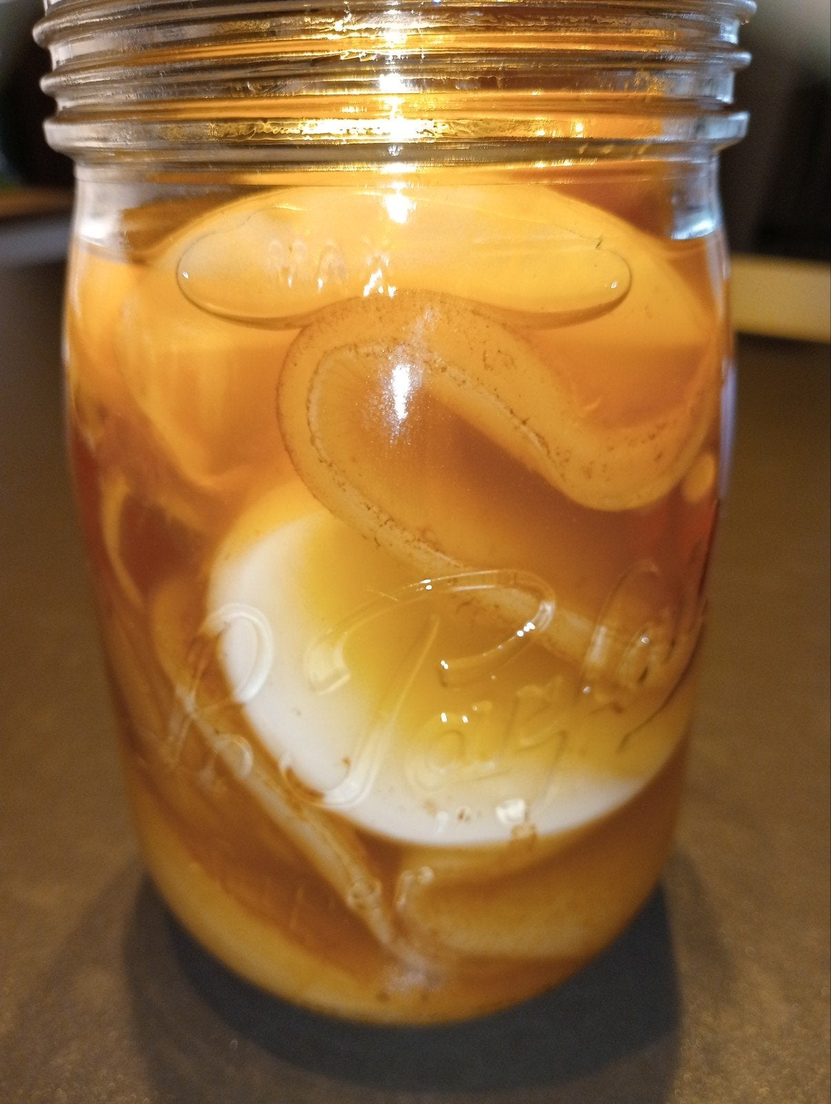 kombucha scoby, Ophalen
