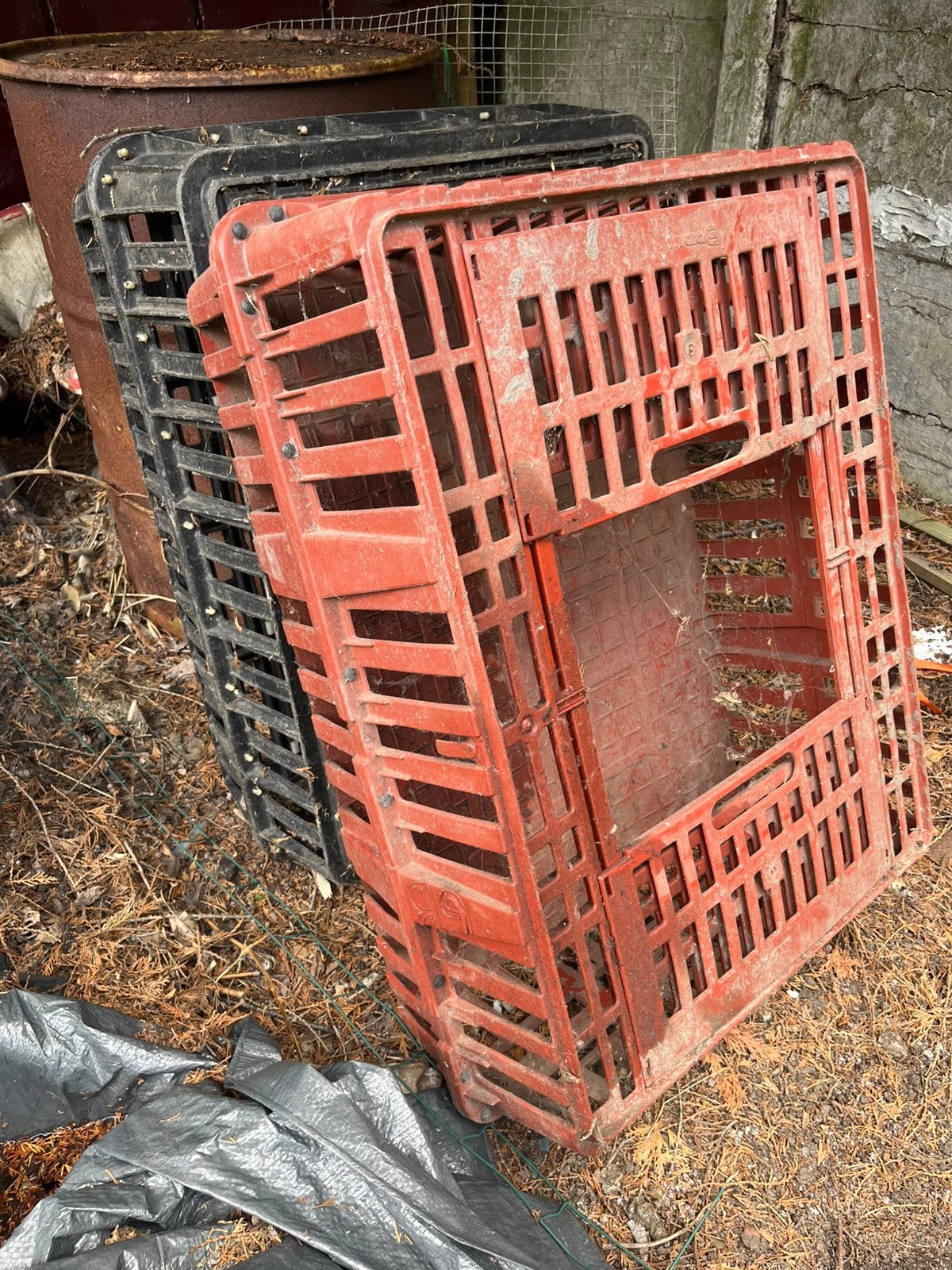 Transport kisten pluimvee, Dieren en Toebehoren, Ophalen, Gebruikt