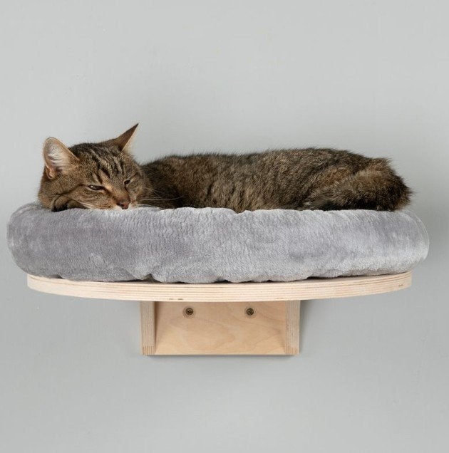 Plateforme murale pour chat Natural Paradise – Bouleau, Enlèvement ou Envoi