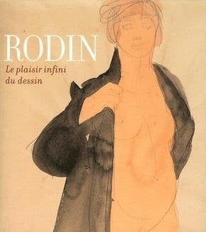 Rodin, le plaisir infini du dessin, Ophalen of Verzenden, Gelezen