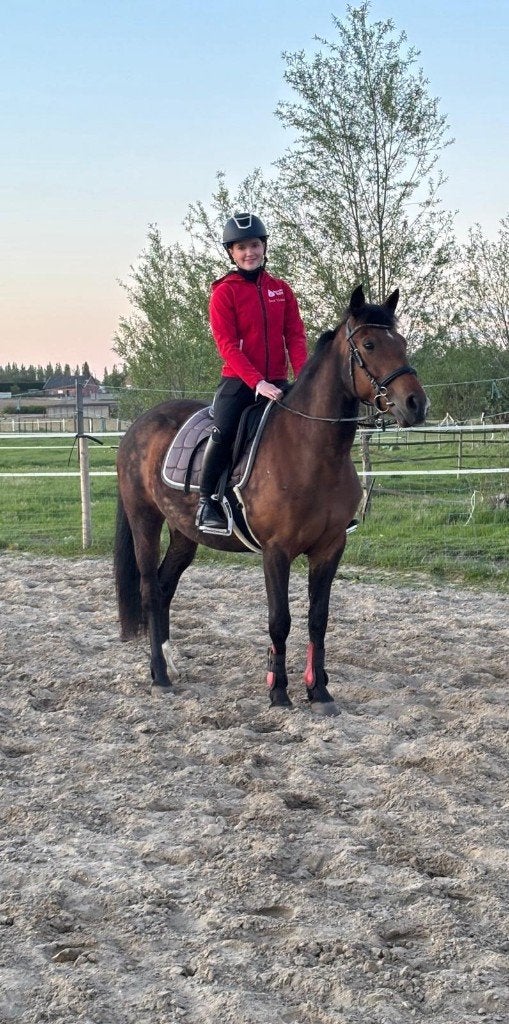 Super brave pony Ella zoekt haar gouden thuis! ️, Animaux & Accessoires, Poneys, B, Avec puce électronique, 11 ans ou plus, Poney de récréation