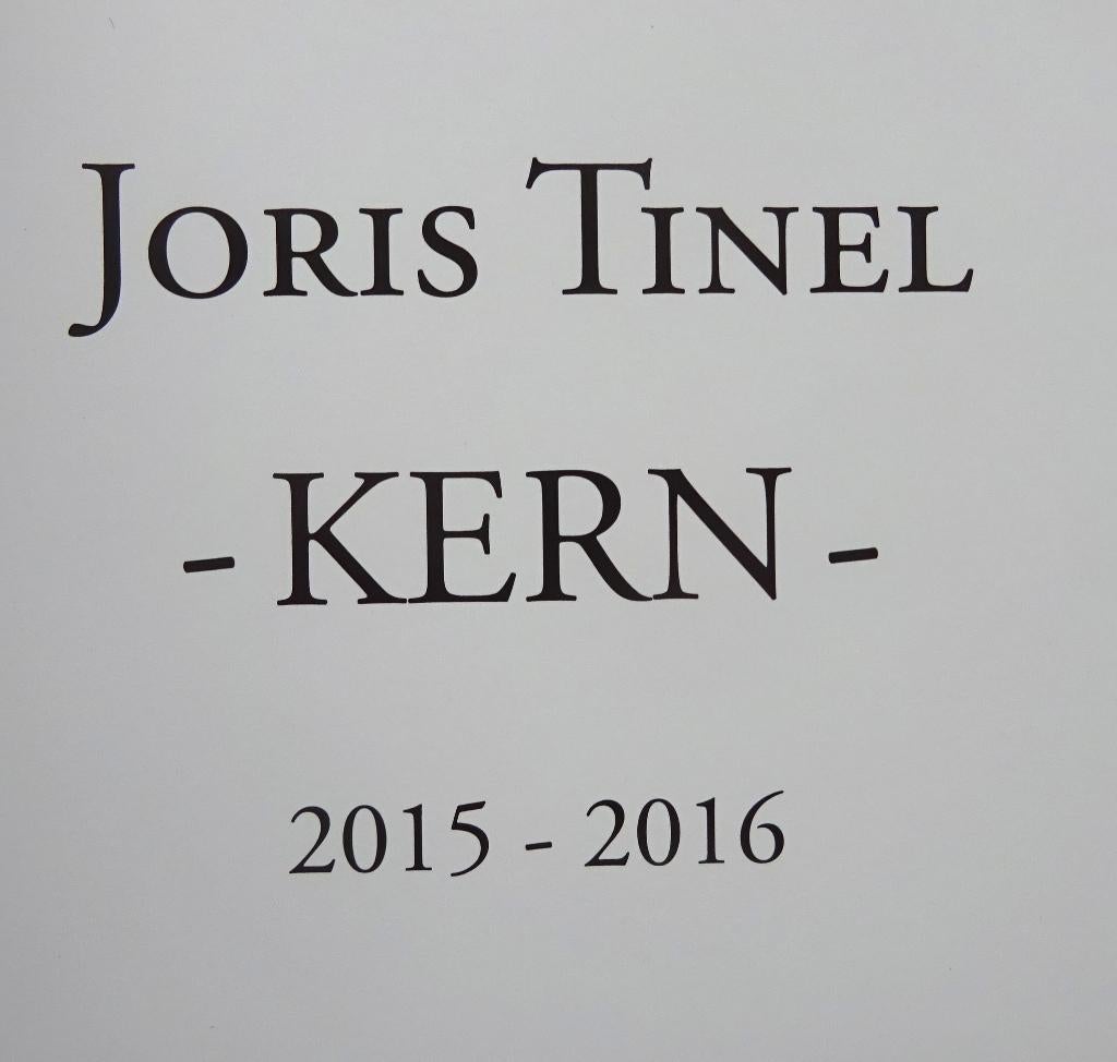 Joris Tinel, Kern 2015-2016 Harelbeke / signed, Ophalen of Verzenden, Nieuw, Schilder- en Tekenkunst