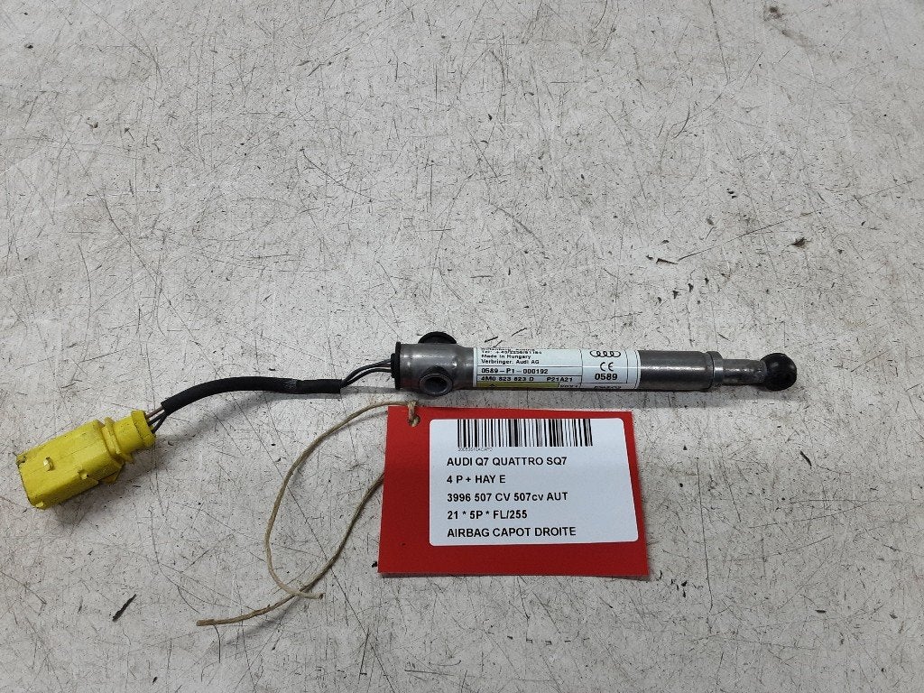 AIRBAG DIVERS Audi SQ7 (4MB / 4MG) (4M0823823D), Mevr. I. Hauben, Audi, Utilisé, Rue de l'Espoir 34 34
4030  GRIVEGNÉE, BE