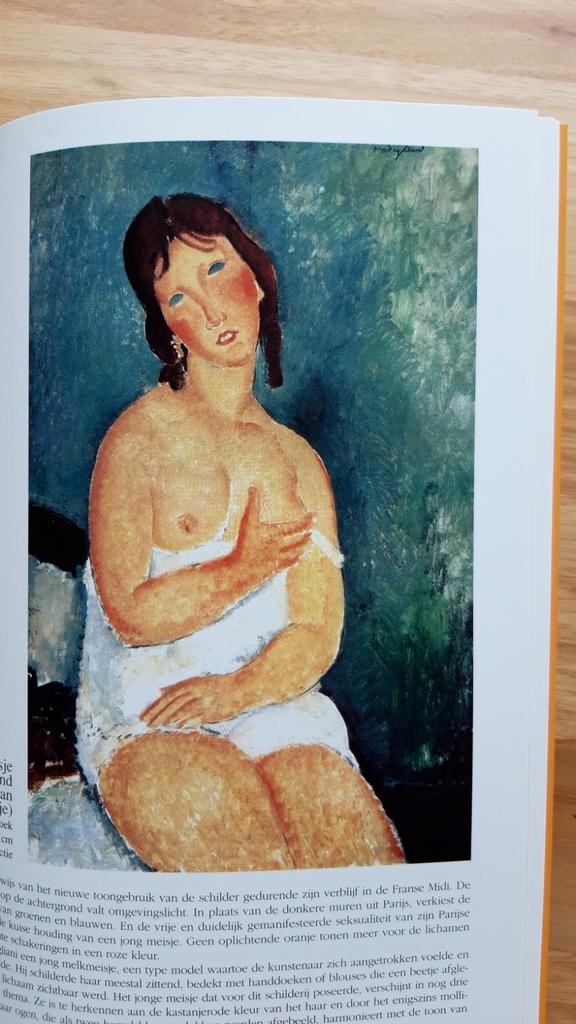 Amedeo Modigliani - monografie, Enlèvement ou Envoi, Comme neuf, M.S.G. Galland