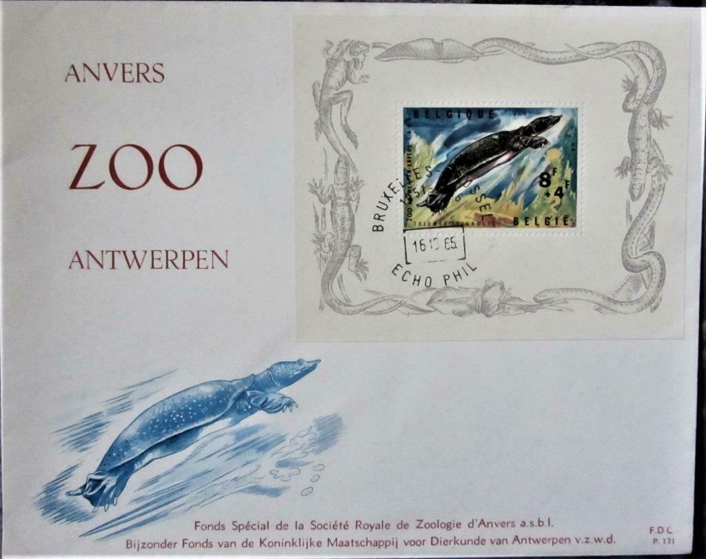 POSTZEGELS BELGIË, GROTE COVER- ZOO, Ophalen of Verzenden, Gestempeld, Dier of Natuur