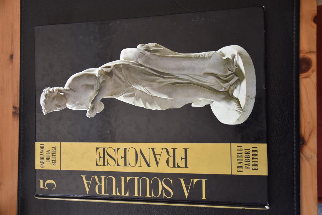 Capolavori della sculptura Part 5 French novecento prima pa, Envoi, Utilisé