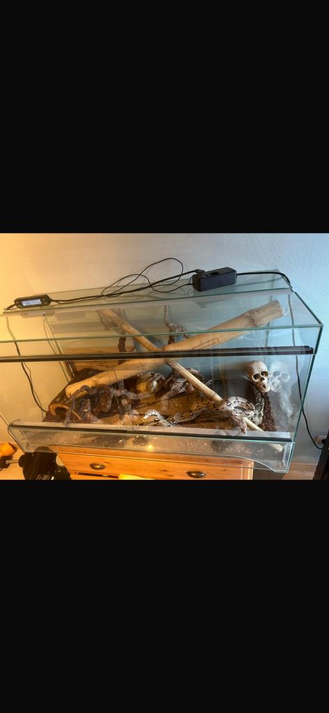 Terrarium boa, Dieren en Toebehoren, Ophalen, Gebruikt, Terrarium of Paludarium
