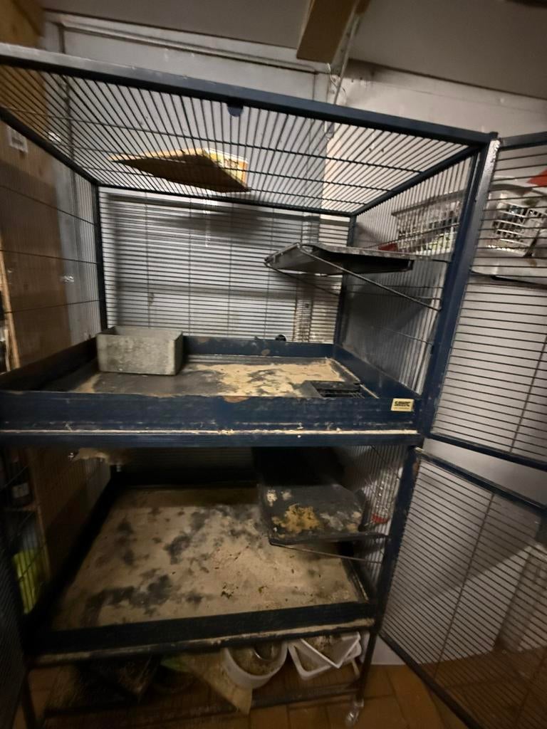 Savic suite royal knaagdierenkooi chinchilla kooi, Ophalen, Kooi, Zo goed als nieuw, Hamster