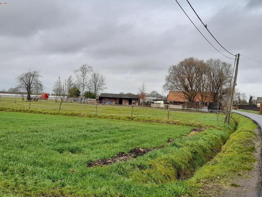 Te koop : knus en gezellige oude hoeve met  landbouwgrond, Immo, Meer Hoogstraten, Verkoop zonder makelaar, 1500 m² of meer, Provincie Antwerpen