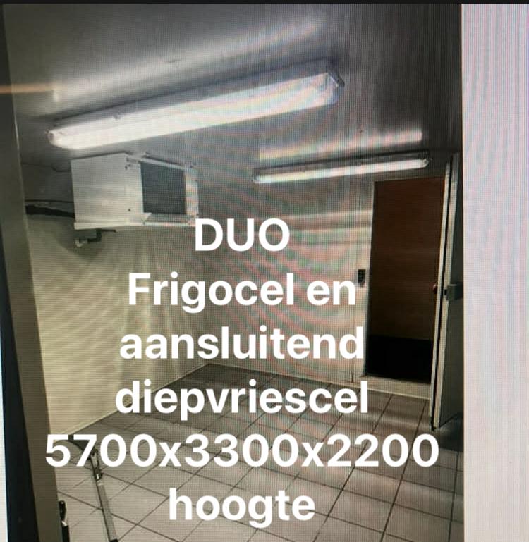 frigo en diepvriescel, Zakelijke goederen, Ophalen