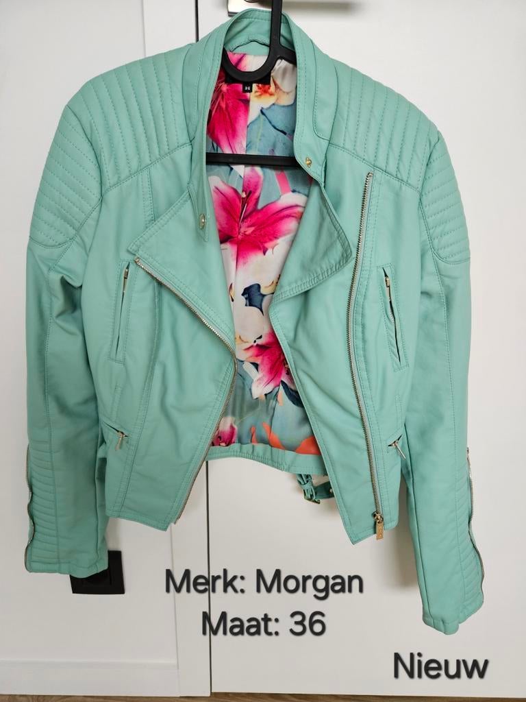 Veste New vert menthe, Vêtements | Femmes, Neuf, Enlèvement ou Envoi, Taille 36 (S), Morgan