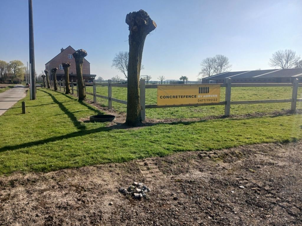 weidepalen te koop., Dieren en Toebehoren