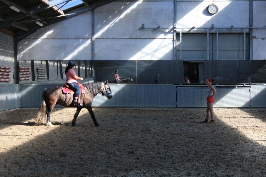 Aan huis : Westernlessen, begeleiding en coaching, Paardrijles of Ponykampen