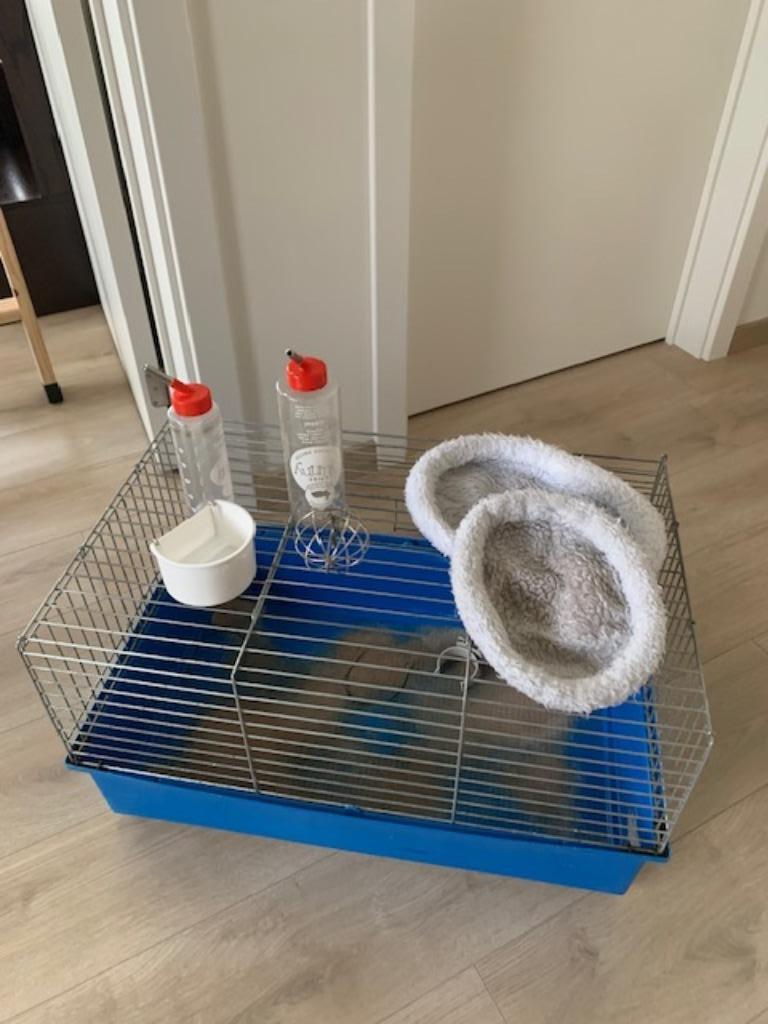 Cage à hamsters, Moins de 60 cm, Cage, Utilisé, Cobaye