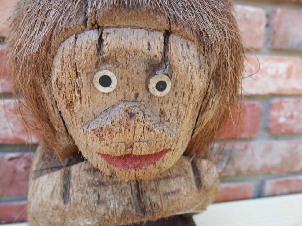 a monkey made from coconut, Ophalen of Verzenden