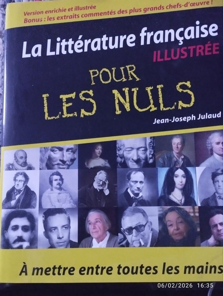 Franse literatuur voor dummies, Ophalen of Verzenden