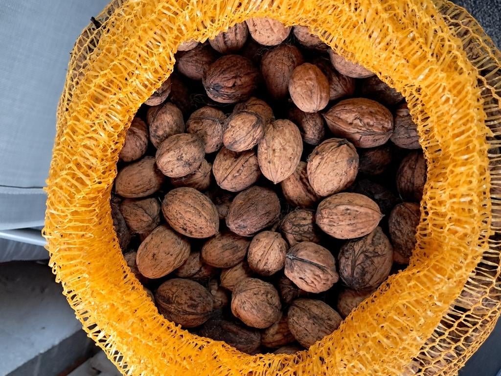 Noix a vendre.(2025)  3€ kg, Divers, Enlèvement
