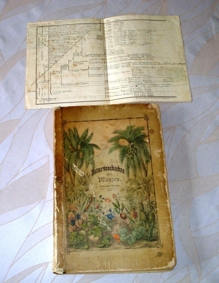 Naturgeschiechte der Planzen im Bildern 1853, Ophalen of Verzenden, Gelezen