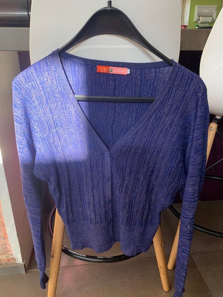 Blauwe glitter gilet maat S zoe loveborn, Kleding | Dames, Ophalen of Verzenden, Zo goed als nieuw, Maat 36 (S)