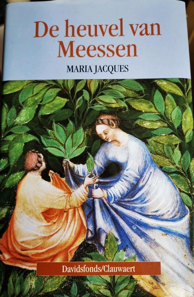De heuvel van Meesen, Maria Jacques, Boeken, Historische romans, Zo goed als nieuw, Ophalen of Verzenden