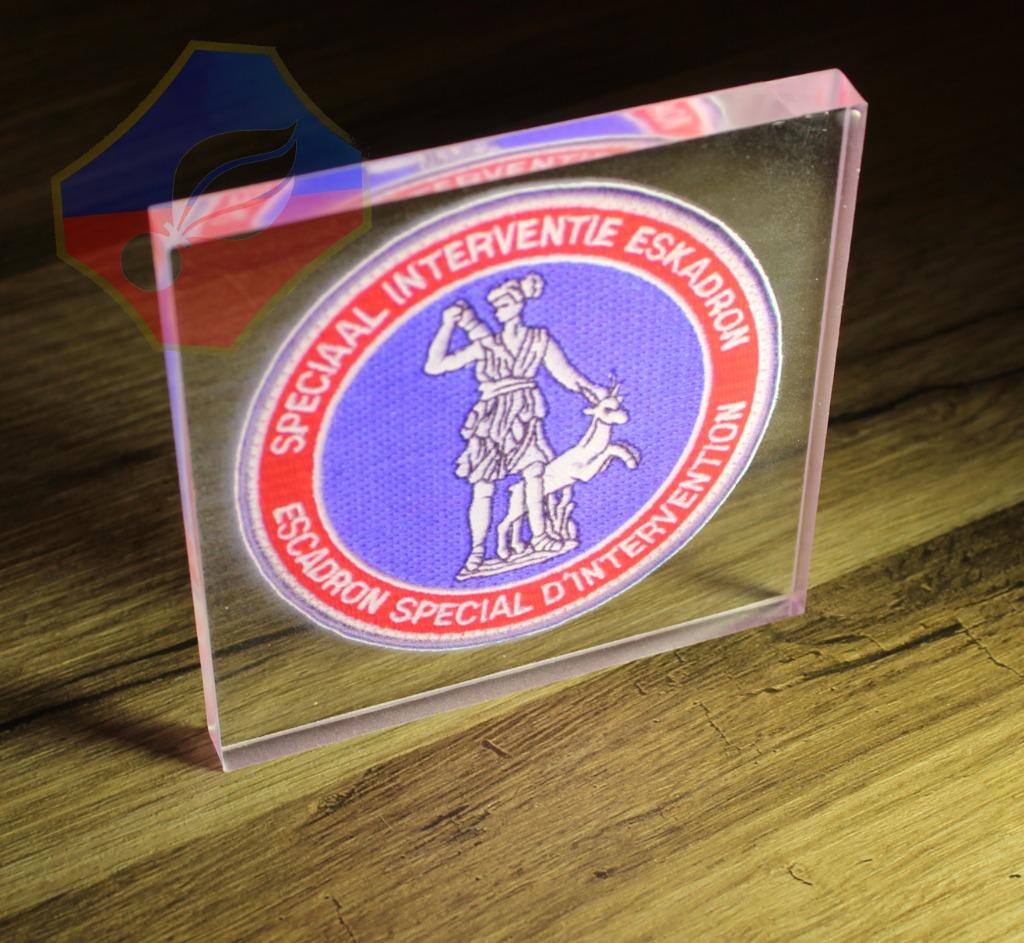 RIJKSWACHT SIE ESI LUXE PLEXI LOGO DISPLAY 10x10x1, Verzamelen, Verzenden, Rijkswacht, Embleem of Badge