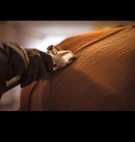Scheren van paarden & pony’s, Dieren en Toebehoren, Ophalen, Nieuw