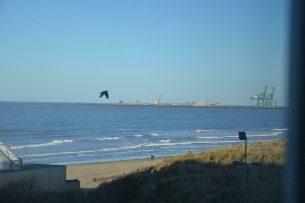 TE HUUR APPARTEMENT-ZEEZICHT-BLANKENBERGE SURFCLUB/DUINEN, Vakantie, 5 personen, 2 slaapkamers, Antwerpen of Vlaanderen, Appartement