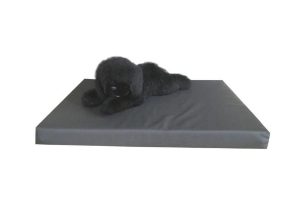 Coussin de santé pour chien Coussin pour chien New OP=OP !, Animaux & Accessoires, Accessoires pour chiens, Enlèvement ou Envoi