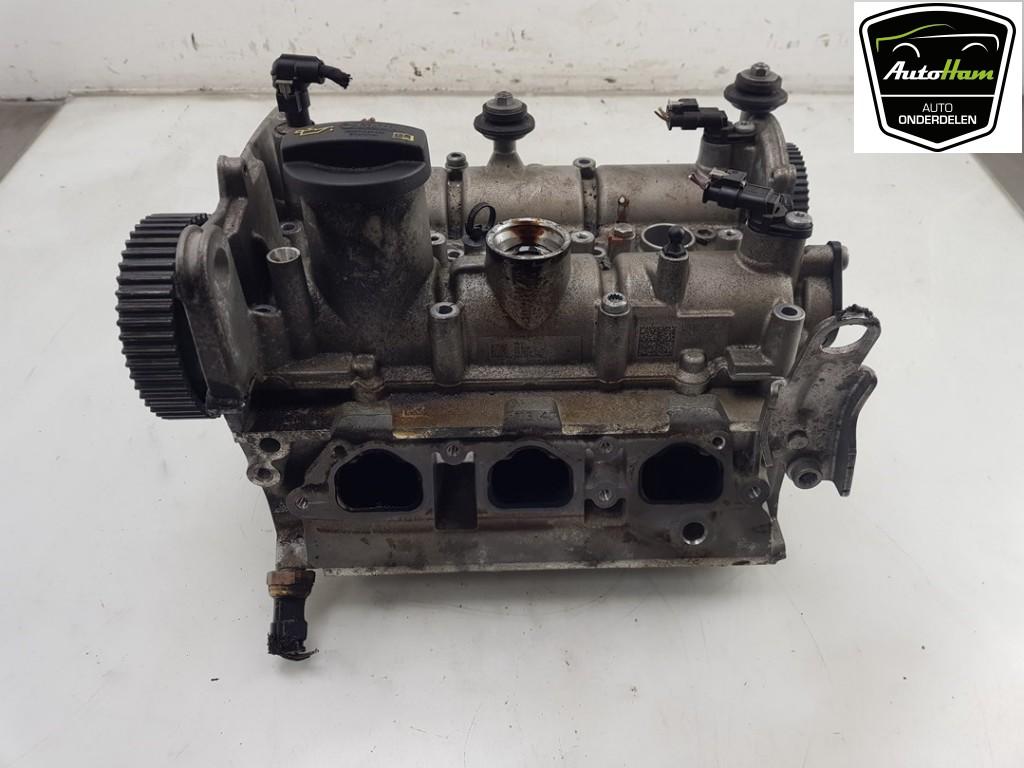 CILINDERKOP Volkswagen Polo VI (AW1) (01-2017/08-2021), Gebruikt, Volkswagen