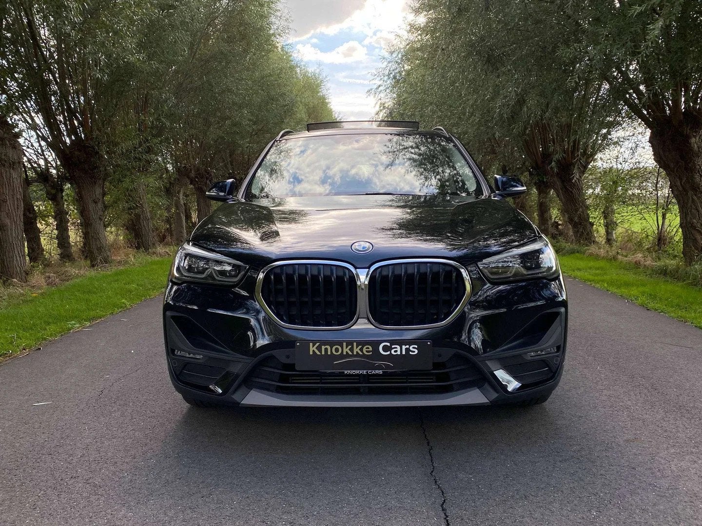 BMW X1 Plug in Hybride,Open dak,Leder,Elektrische zetels met, 32 g/km, Achat, https://public.car-pass.be/vhr/18a63ec0-8af9-458f-aaea-48ba89ef7670