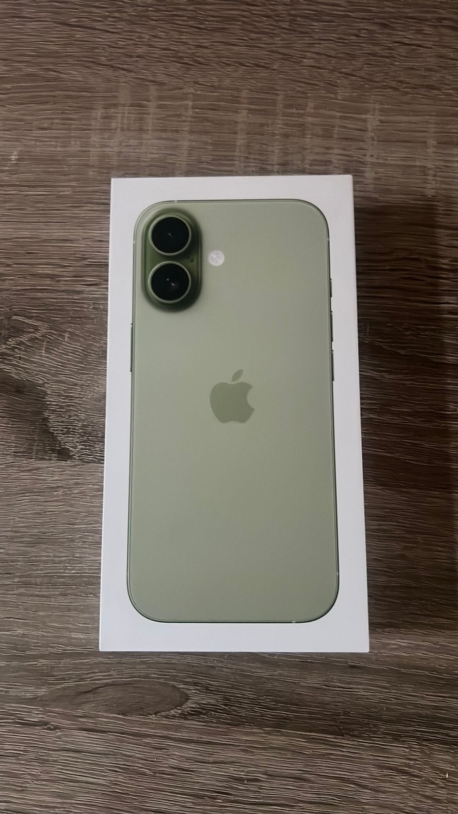 iPhone 17 Sage – 256 GB, Sans abonnement, Sans simlock, 100 %, Neuf