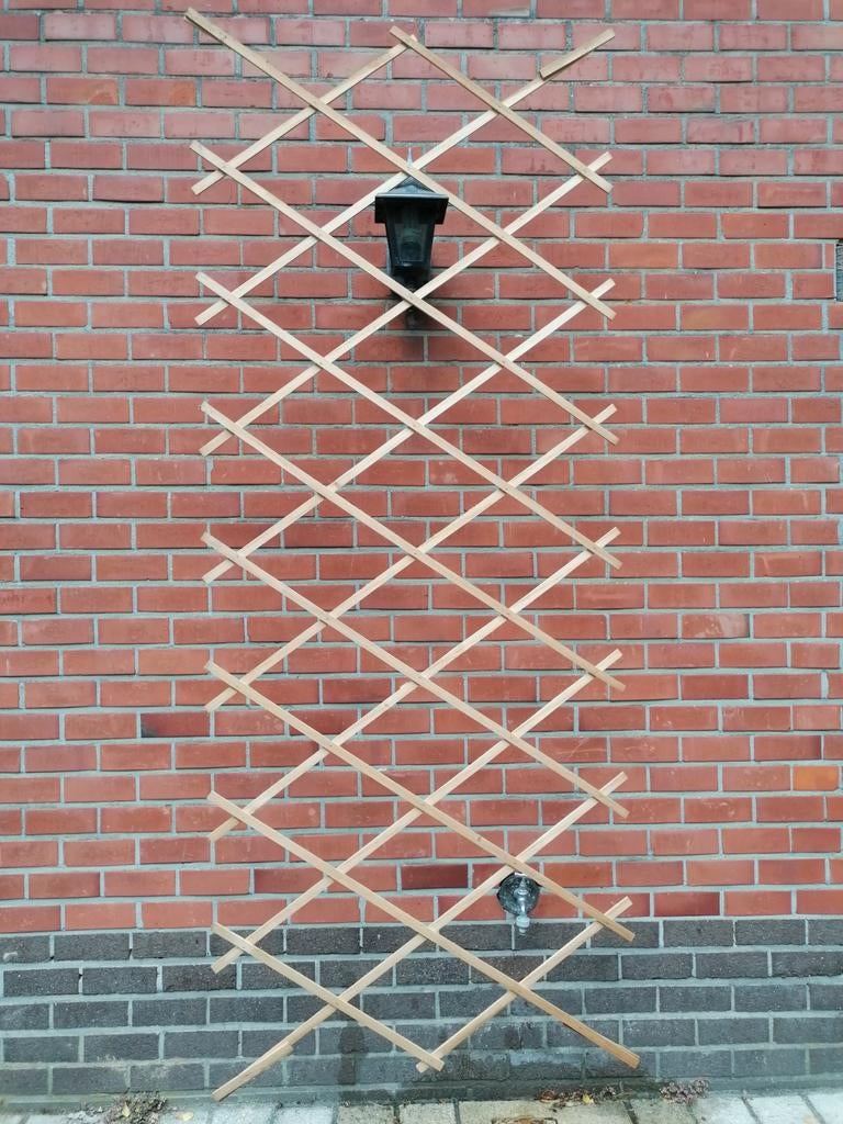 Treillis extensibles en bois pour plantes (10 disponibles), Hout