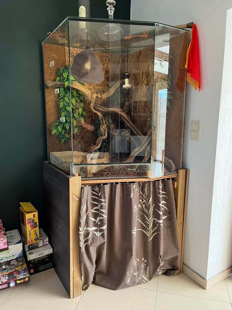 Magnifia terrarium complet avec meuble, Animaux & Accessoires, Reptiles & Amphibiens | Accessoires, Terrarium ou Paludarium, Enlèvement