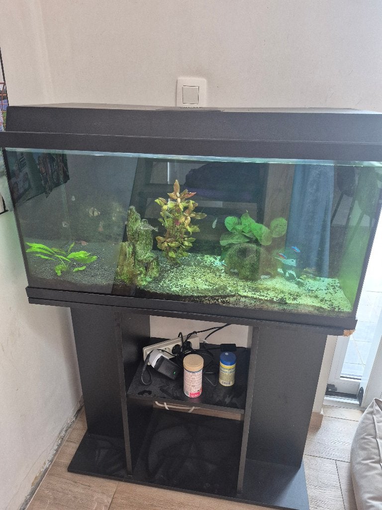 Aquarium Juwel 110L, Dieren en Toebehoren, Ophalen, Gebruikt, Inclusief vissen, Gevuld zoetwateraquarium