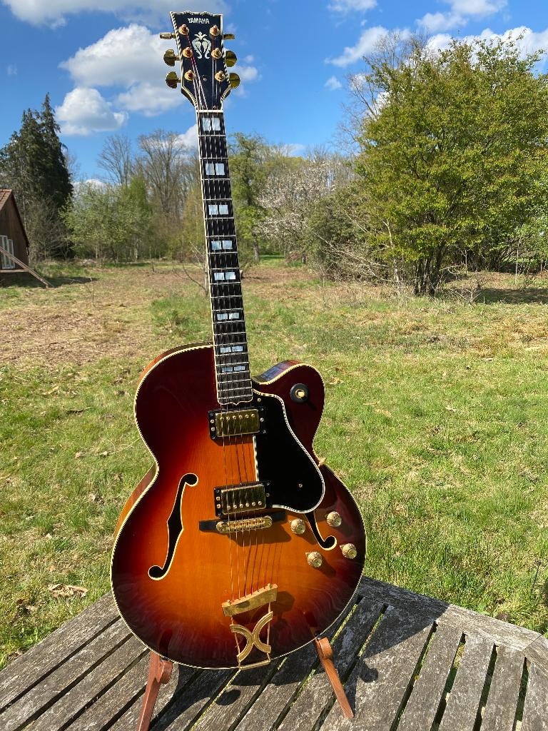 Yamaha AE-1500, Enlèvement, Utilisé, Hollow body, Autres marques