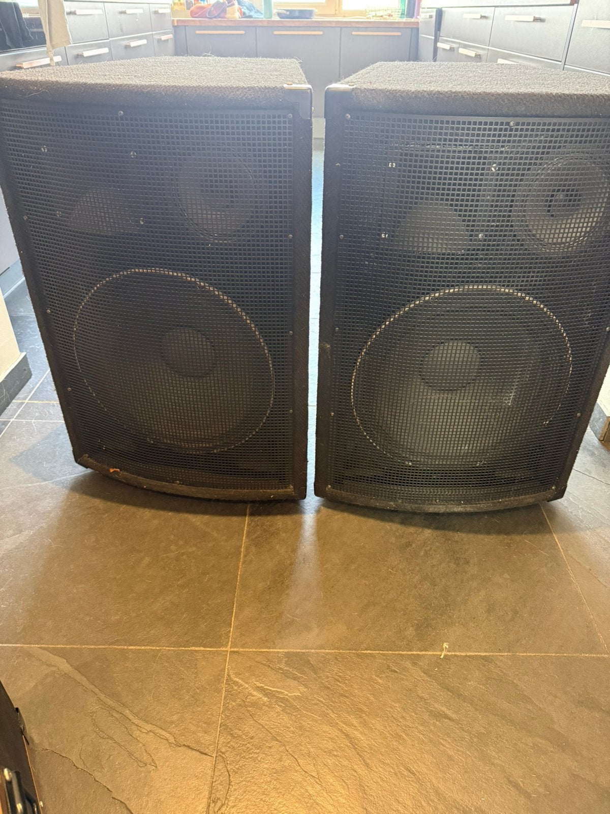 Peavey 700w rms 2 stuks passief inc versterker, Ophalen of Verzenden, Zo goed als nieuw