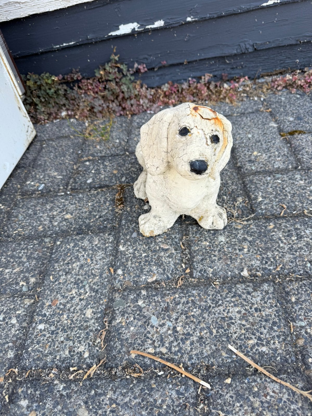 Allerlei tuinbeelden gratis, Tuin en Terras, Ophalen