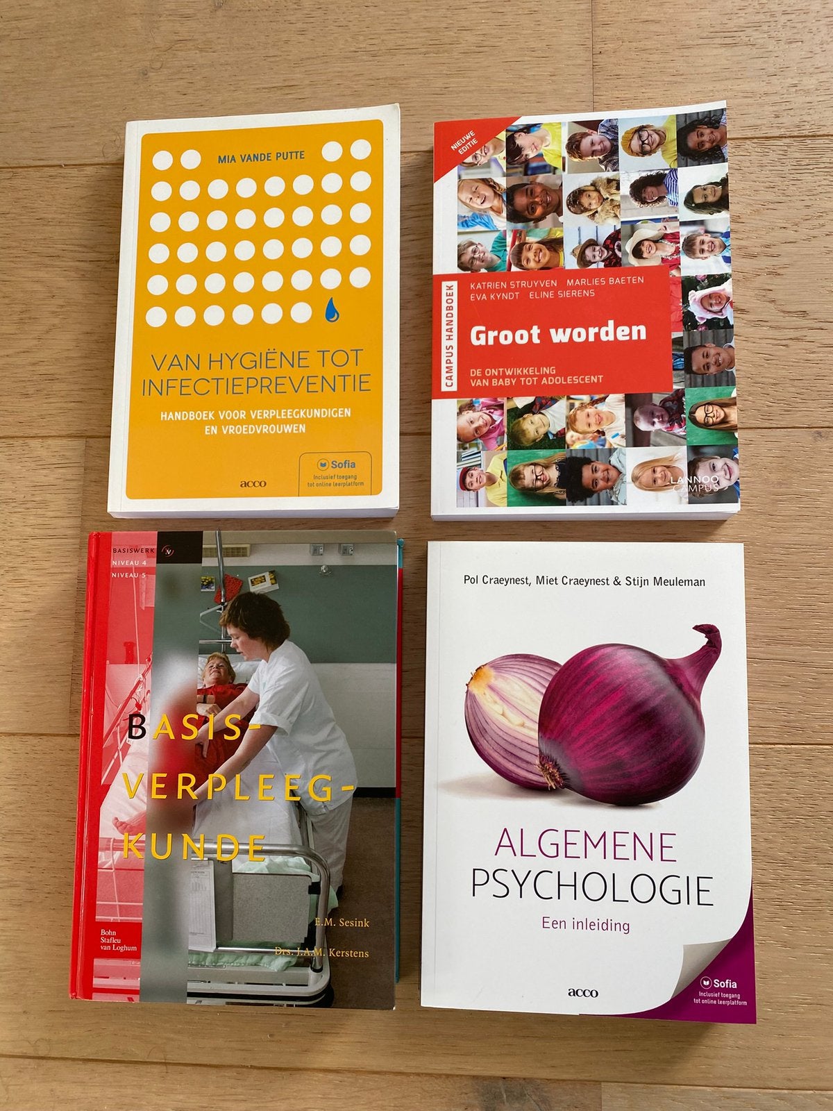 Studieboeken verpleegkunde UCLL, Boeken, Ophalen, Zo goed als nieuw