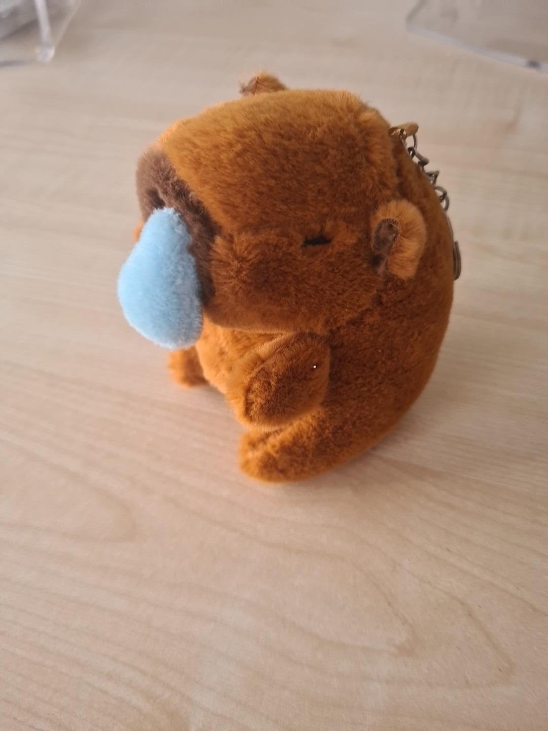 Nieuw - Knuffel, Enlèvement